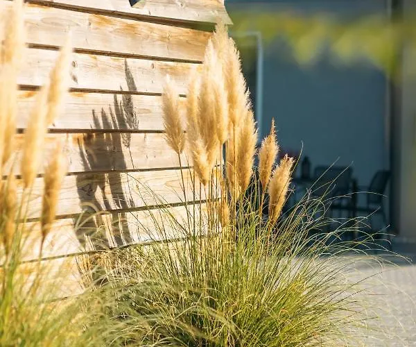 Schlafgut Dessau-Rosslau